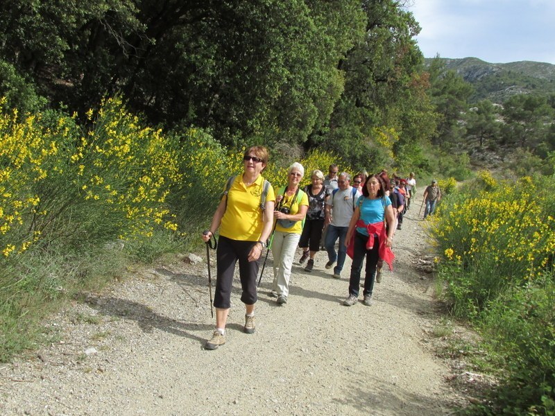 Vauvenargues - Jeudi 29 mai 2014 Gie8x