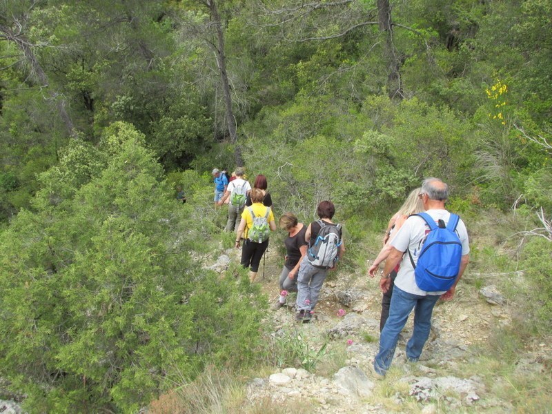 Vauvenargues - Jeudi 29 mai 2014 K14ct