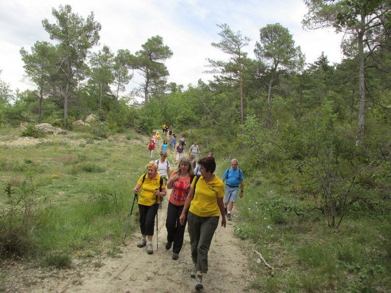 Vauvenargues - Jeudi 29 mai 2014 Okvlq