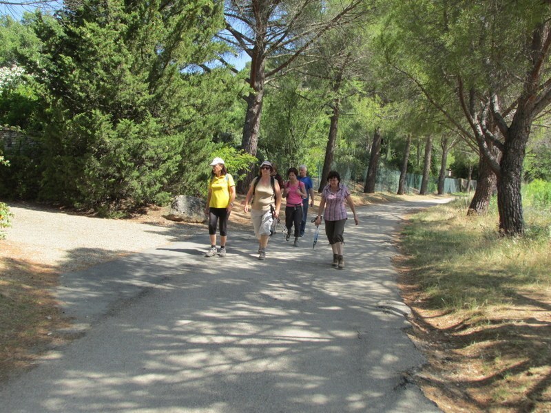 Le Tholonet-Barrage de Zola - jeudi 5 juin 2014 Qyu7m