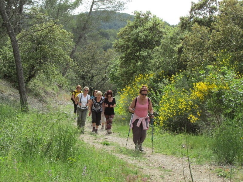 Vauvenargues - Jeudi 29 mai 2014 94xd