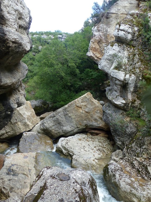 Tourves-Gorges du Caramy-Jeudi 19 juin C98o