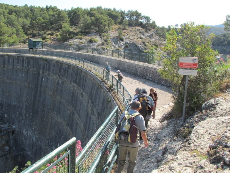 Le Tholonet-Barrage de Zola - jeudi 5 juin 2014 Dogr