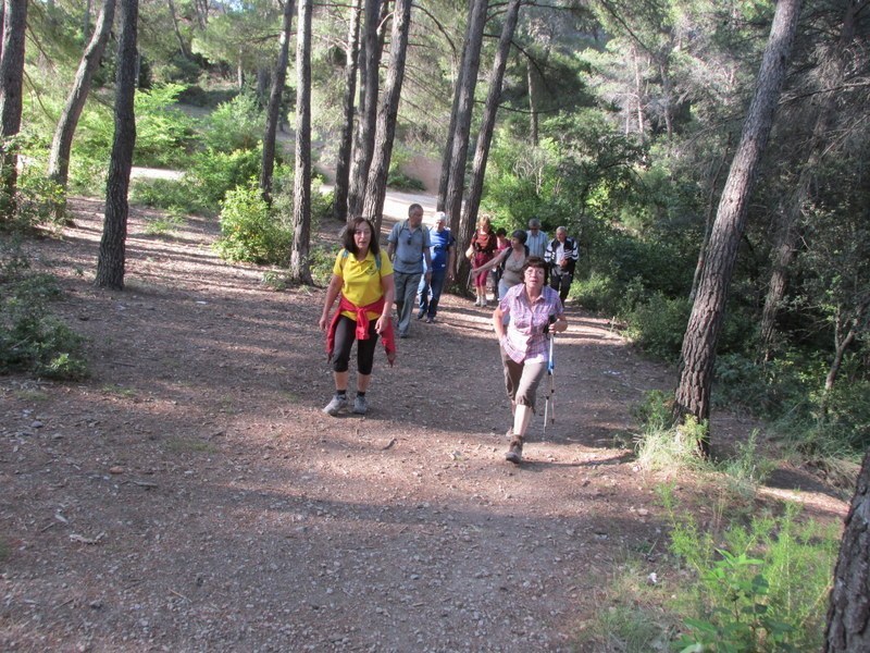 Le Tholonet-Barrage de Zola - jeudi 5 juin 2014 Pavpz