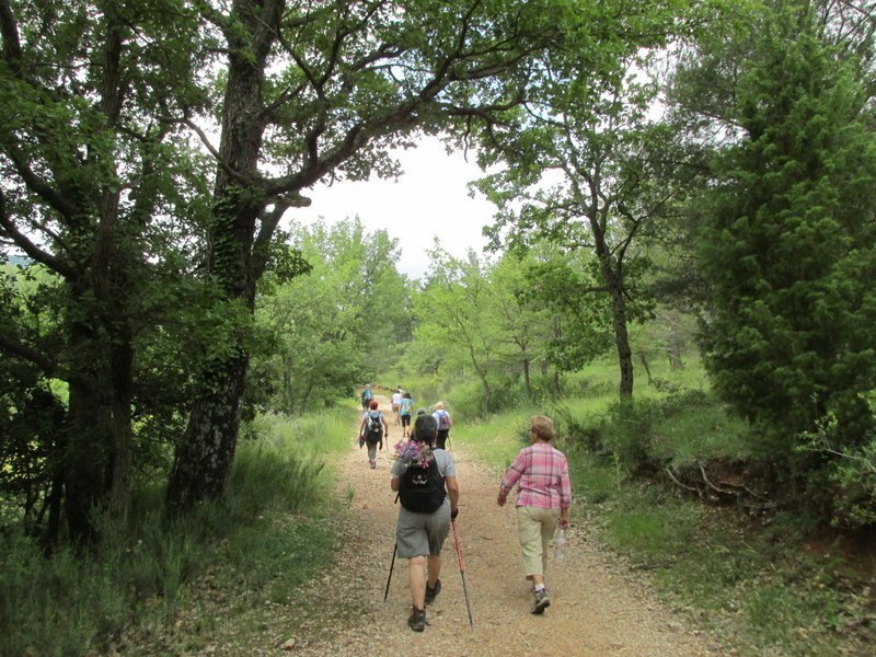 La Ste Baume - Les Sources de l'Huveaune - Jeudi 26 juin 2014 T8v2m