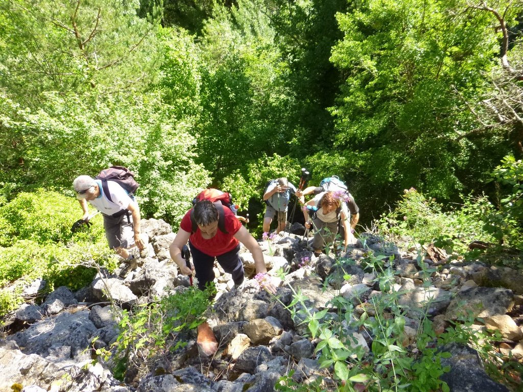 Tourves-Gorges du Caramy-Jeudi 19 juin Vqie