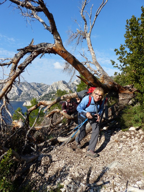 Calanques-Mont Puget par le Val Vierge-Jeudi 12 février 2015 PeY9oB