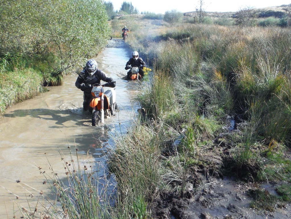 A day of wee puddles QHn9Tq