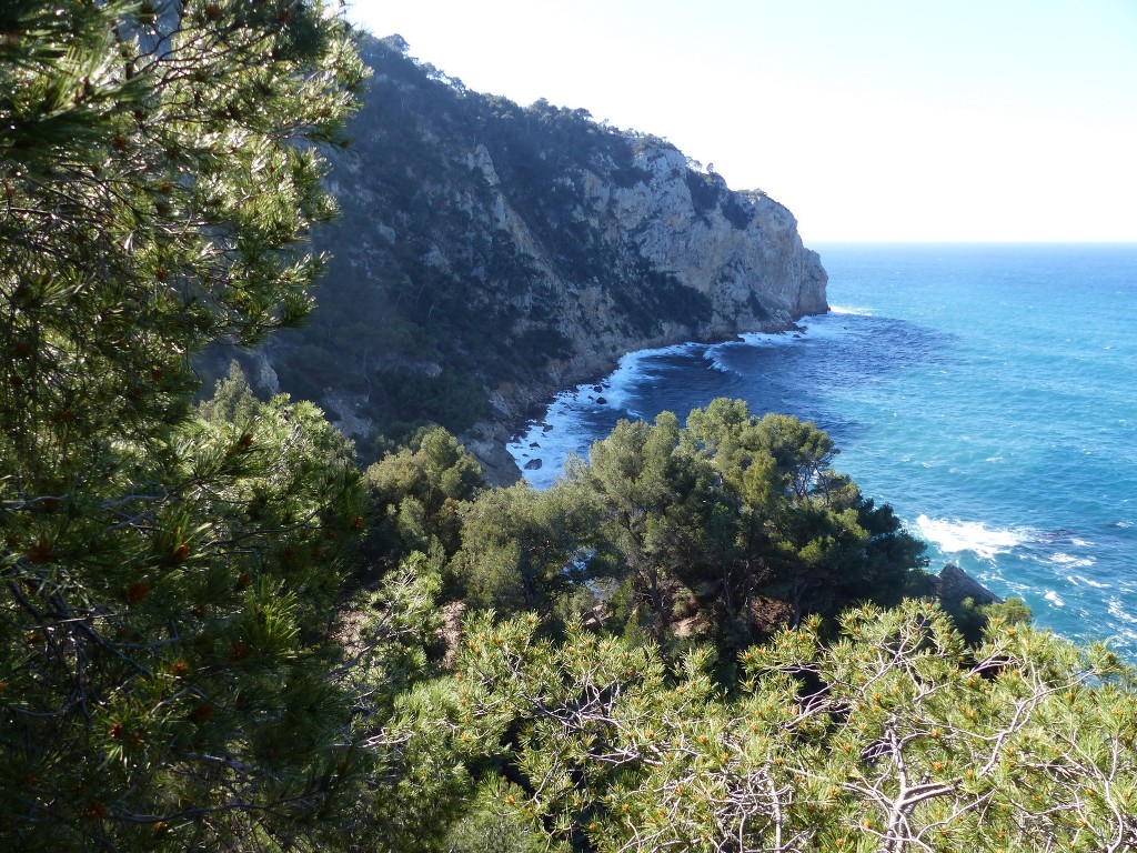 La Madrague des Lecques-Port d'Alon-Jeudi 26 mars 2015 R372MT