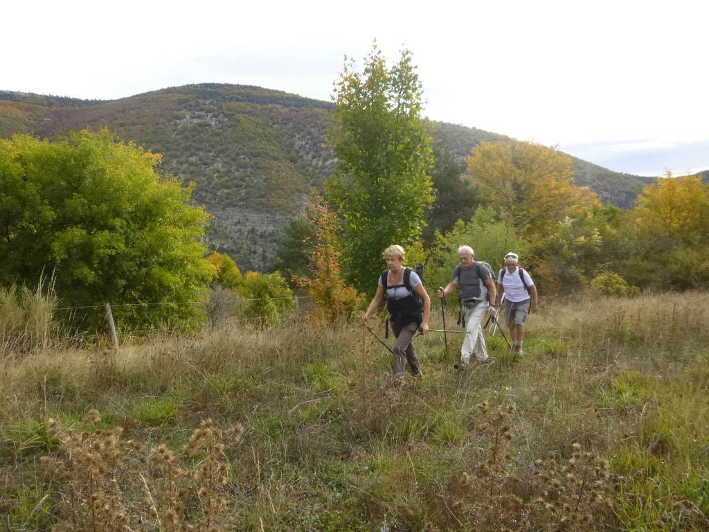 Saumane-Bergeries et sommet du Tréboux-Jeudi 16 octobre 2014 XE0EaF