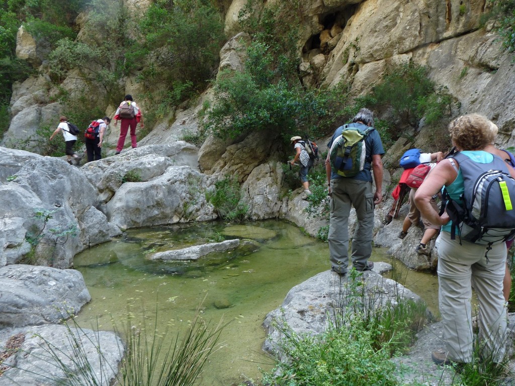 Ollioules-Gorges du Destel-Jeudi 10 juin 2010 EkcFWM