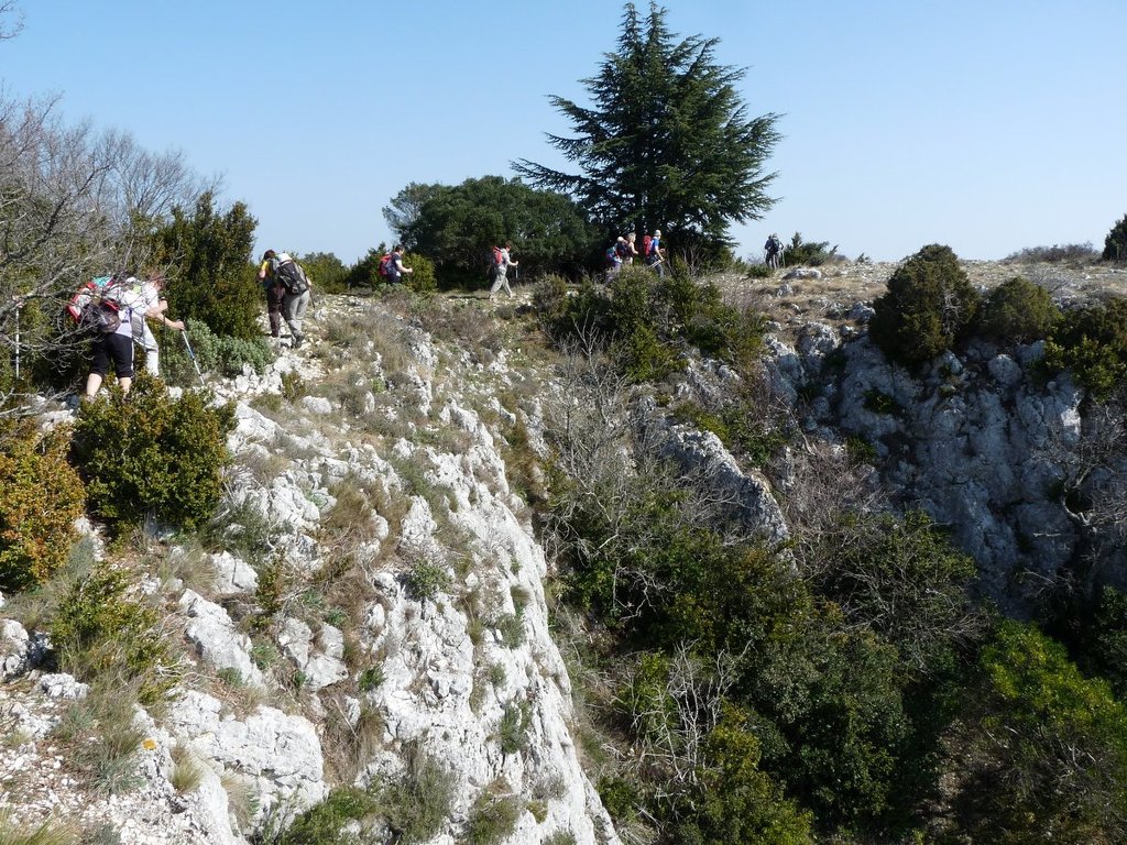 Lubéron-Lauris-Forêt des Cèdres-Vallon de la Sanguinette-Jeudi 13 mars 2014 FBssrh