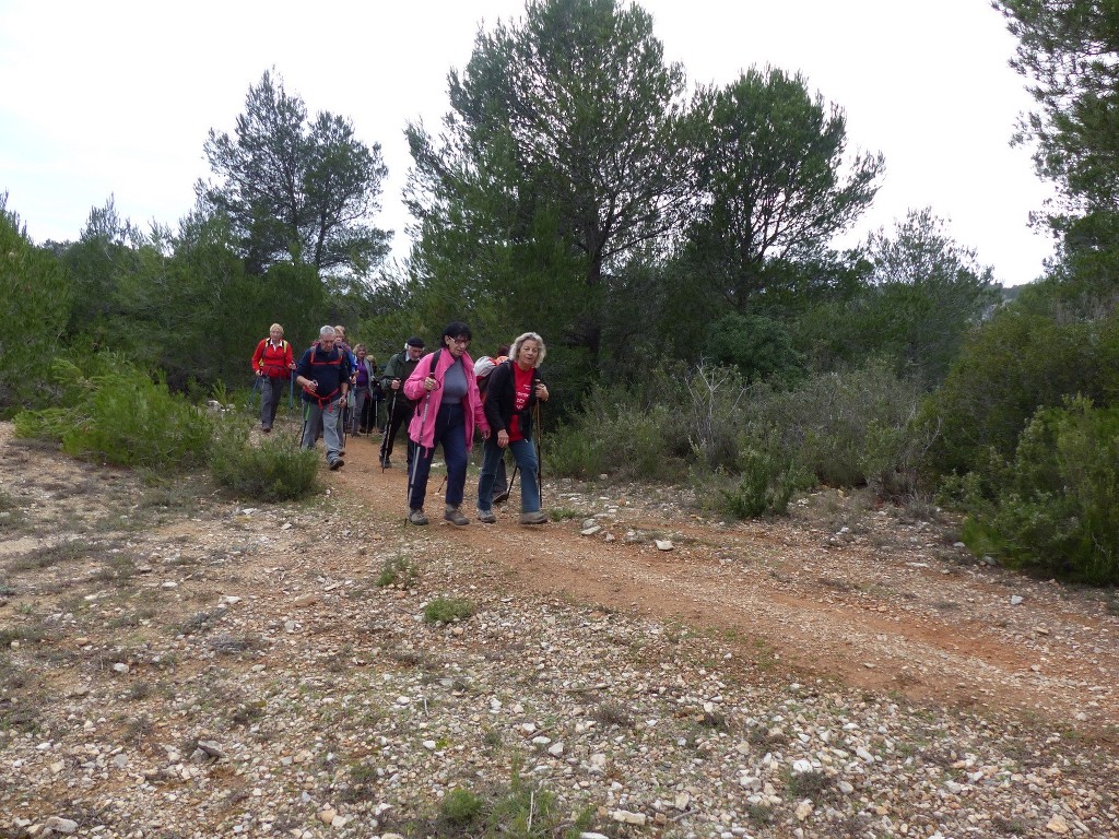 Ceyreste-Montounier-Jeudi 7 janvier 2016 IPm7ud