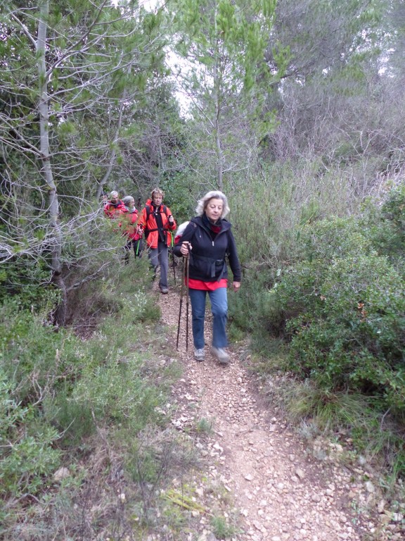 Ceyreste-Montounier-Jeudi 7 janvier 2016 JhcnqH