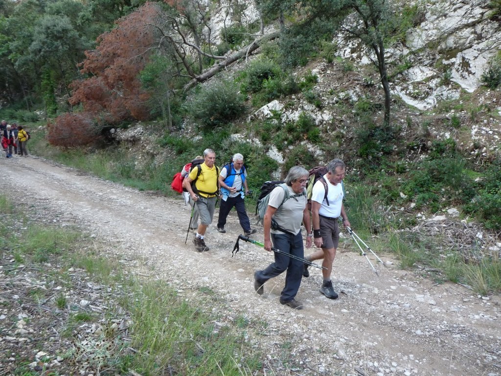 Vallon de l'Arc-Forêt des Cèdres-Arche du Portalas-Jeudi 10 octobre 2013 S6qlQg