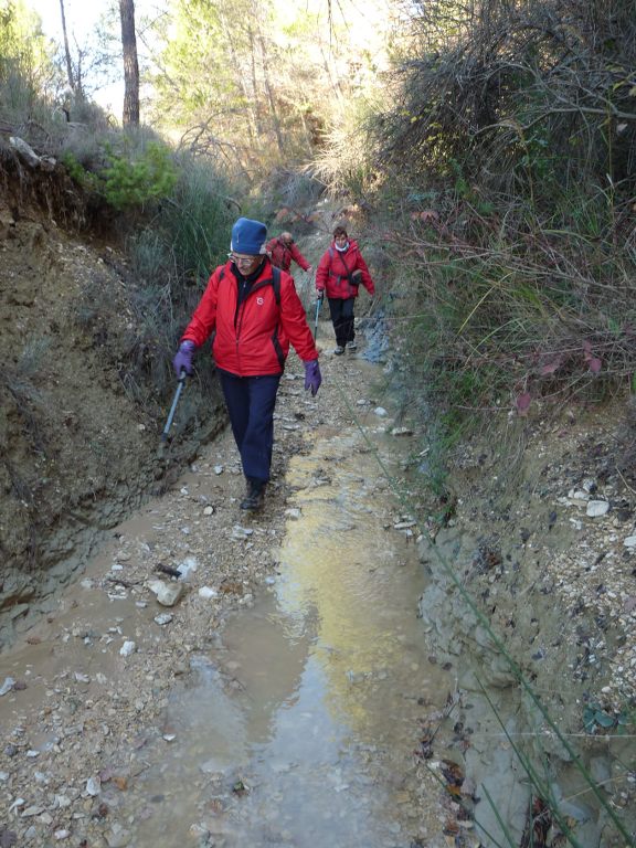 Lubéron-Mourre Nègre- Jeudi 29 novembre 2012 DSyDsQ