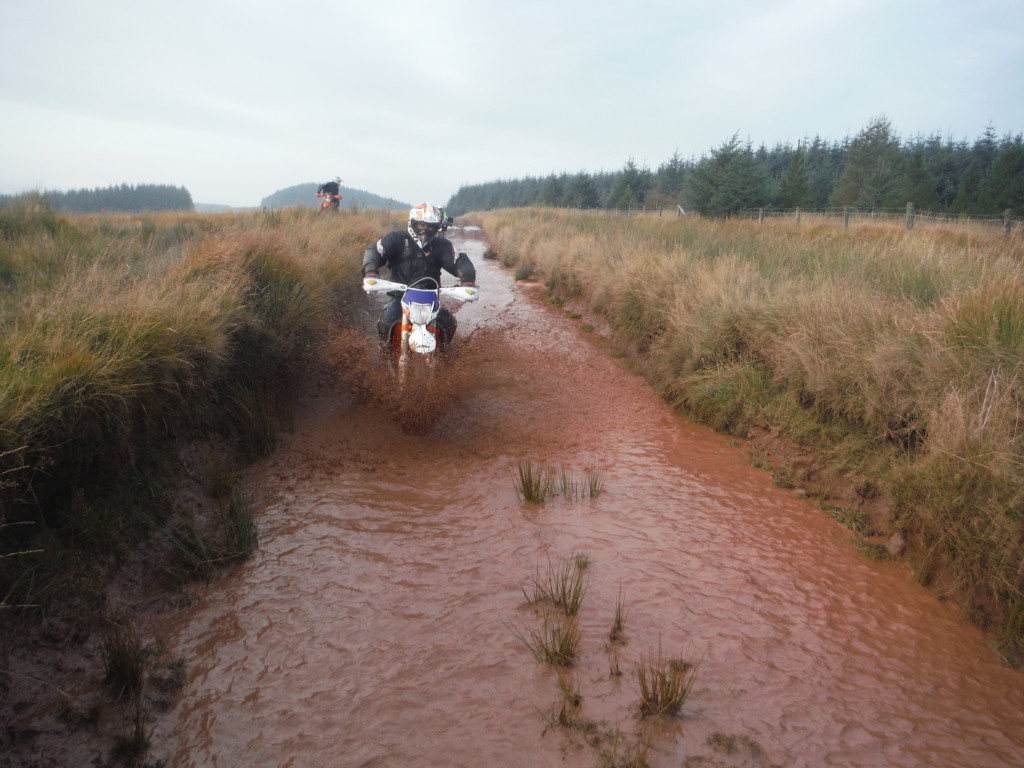 A day of wee puddles TlAWcJ