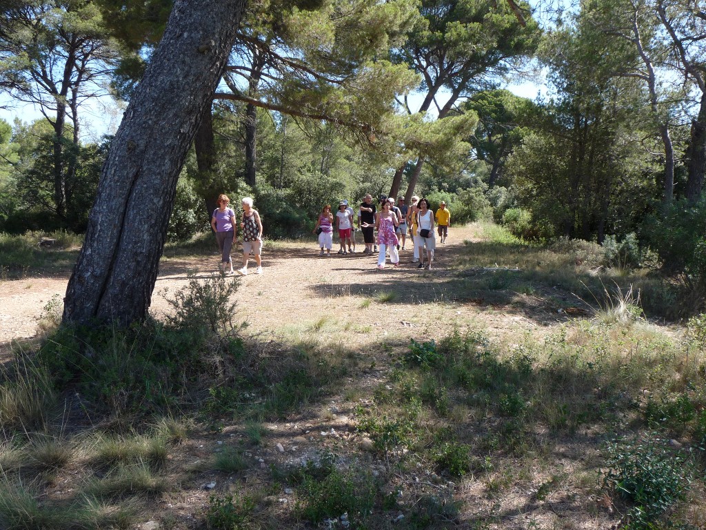 Sortie à Mérindol-Samedi 23 juin 2012 YTFzx8