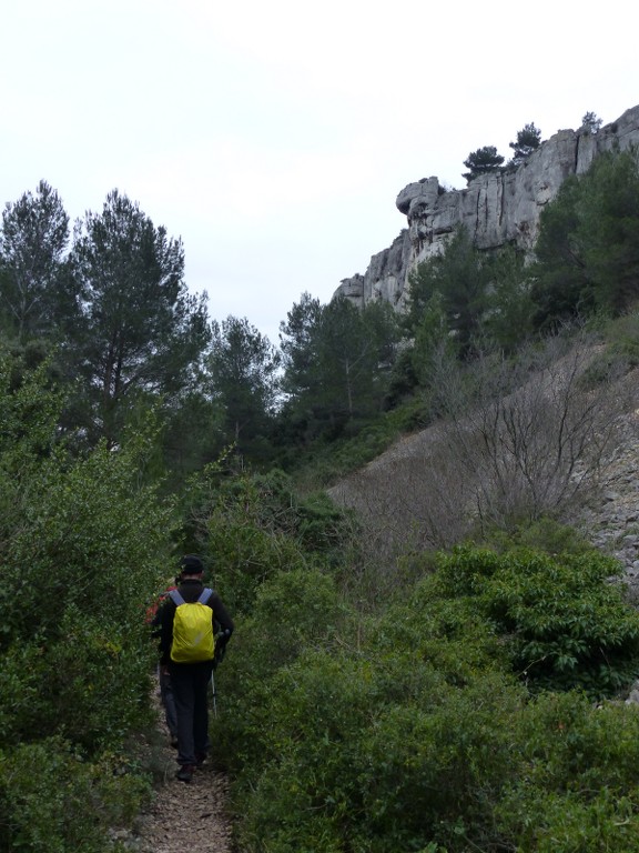 Ceyreste-Montounier-Jeudi 7 janvier 2016 ZHIVS6