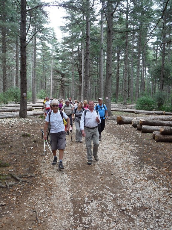 Vallon de l'Arc-Forêt des Cèdres-Arche du Portalas-Jeudi 10 octobre 2013 ZXLp7E