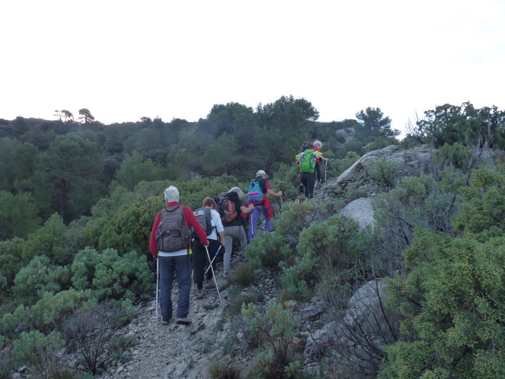 Meyrargues-Terme de Judas-Jeudi 27 novembre 2014 XvIcl9