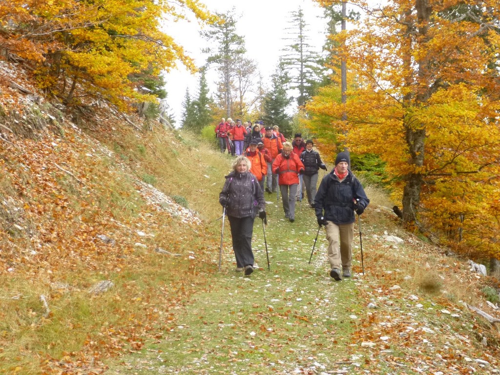 Ventoux-Balcon Nord-Jeudi 15 octobre 2015 600G13