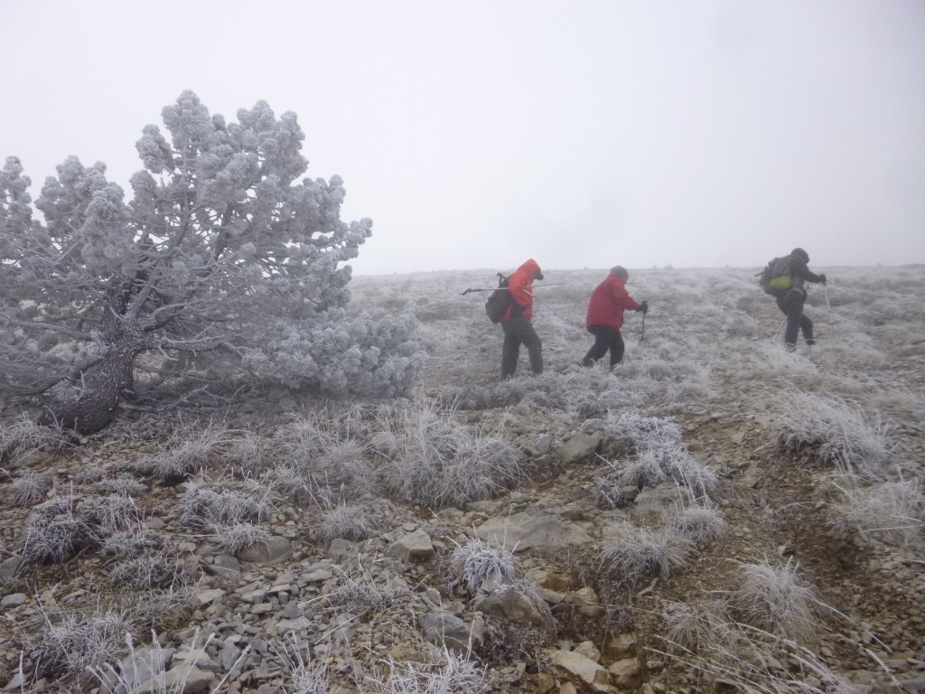 Ventoux-Balcon Nord-Jeudi 15 octobre 2015 Jkznnv