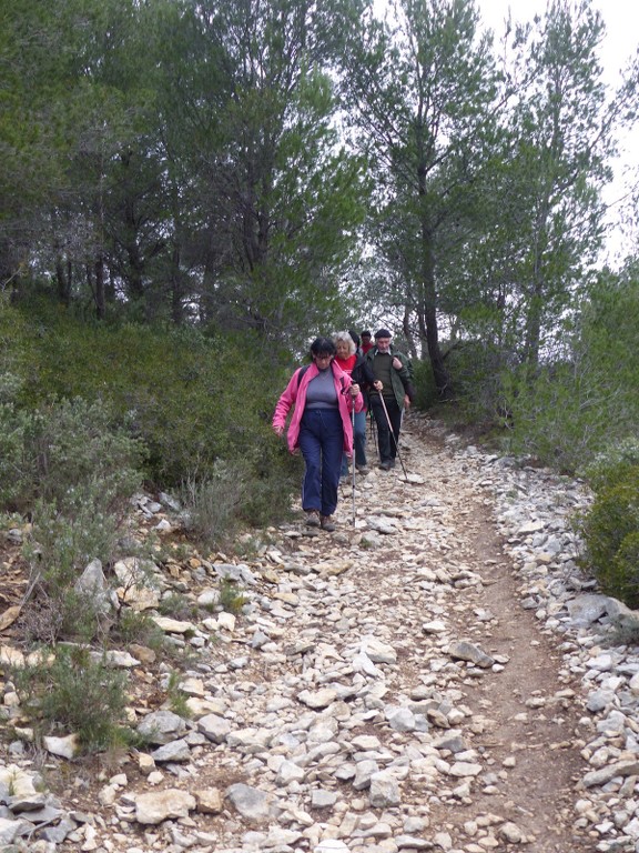 Ceyreste-Montounier-Jeudi 7 janvier 2016 WUun2W