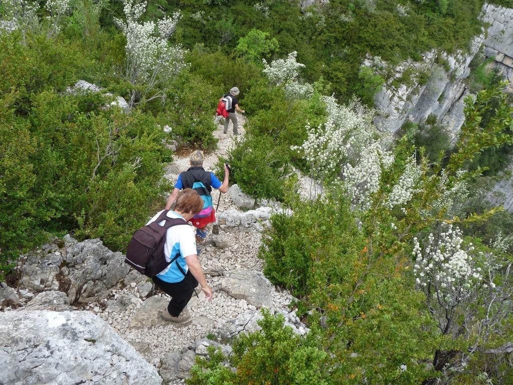 Verdon-Sentiers Imbut et Vidal-Jeudi 9 mai 2013 ZJHS4R