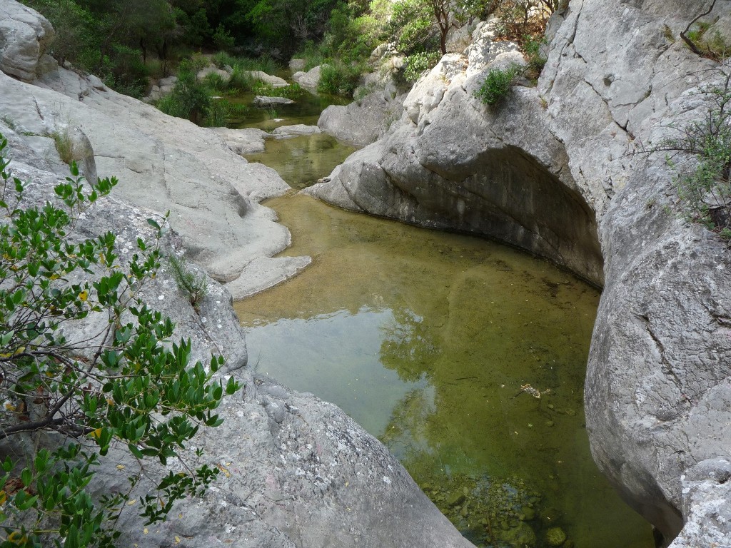 Ollioules-Gorges du Destel-Jeudi 10 juin 2010 CpeGMj