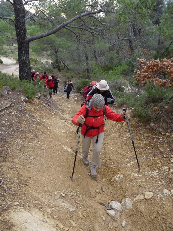 Lubéron-Mourre Nègre- Jeudi 29 novembre 2012 EABipI