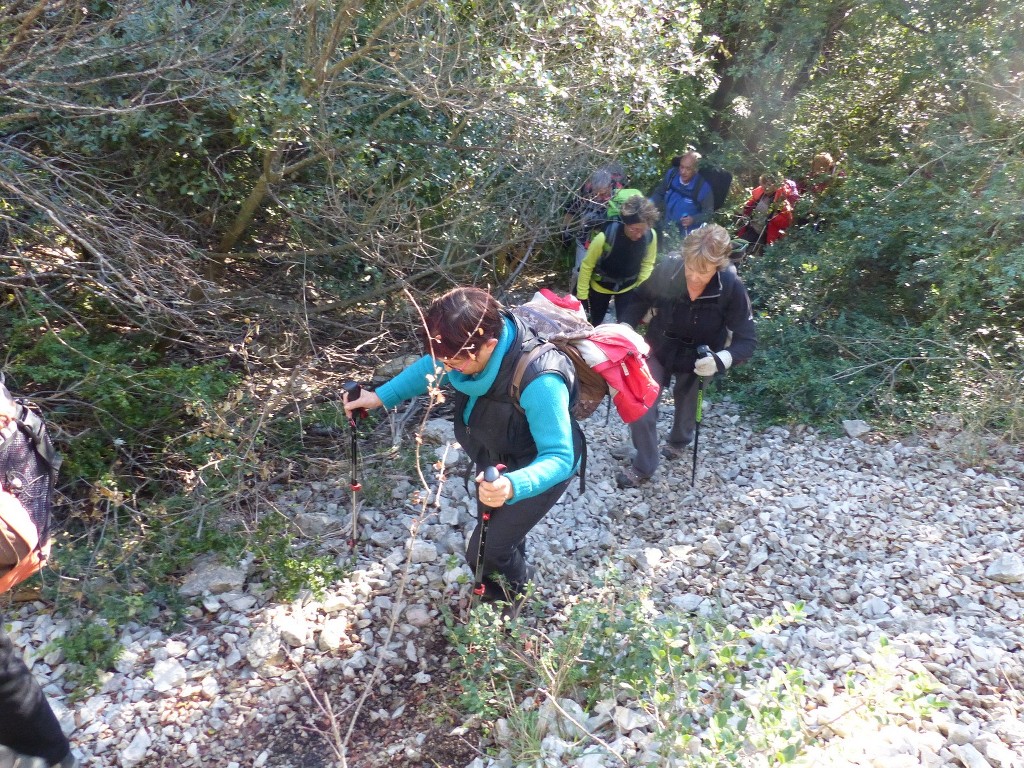 Lubéron-Vallon de l'Arc et Arche du Portalas-Jeudi 26 novembre 2015 N2hUZh