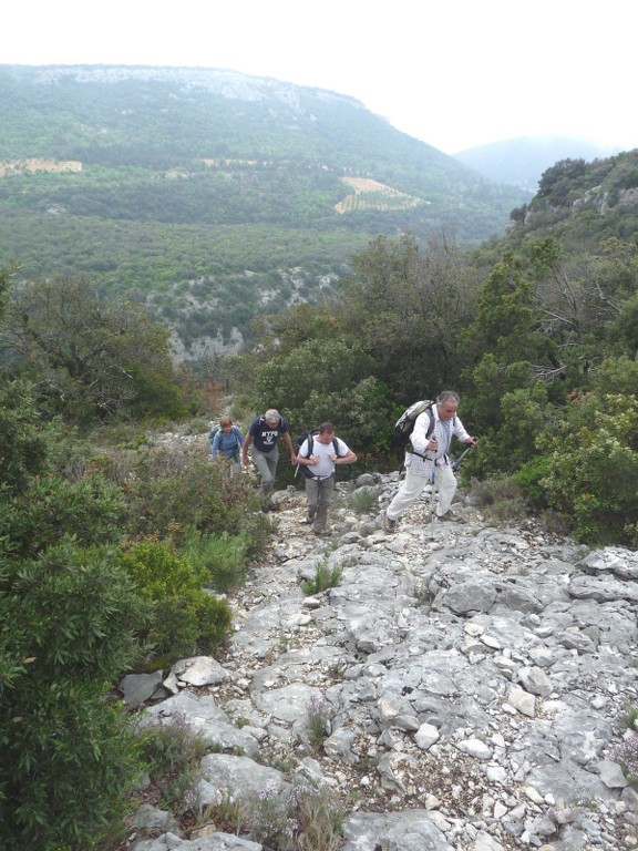 St Saturnin lès Apt-Baume des Roustan-Jeudi 13 mai 2010 OEJrV0