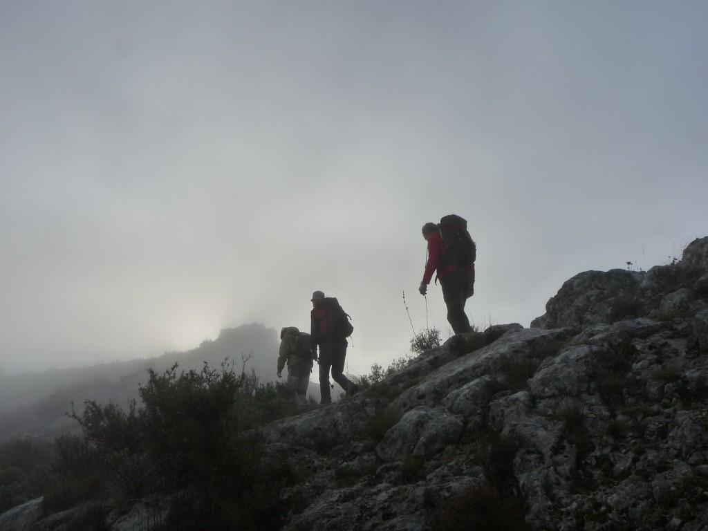 Meyrargues-Le Terme de Judas-Jeudi 9 janvier 2014 W9dpen