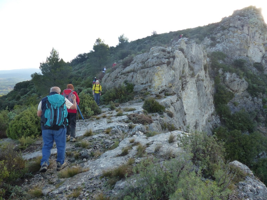 Meyrargues-Terme de Judas-Jeudi 27 novembre 2014 8yJtZf