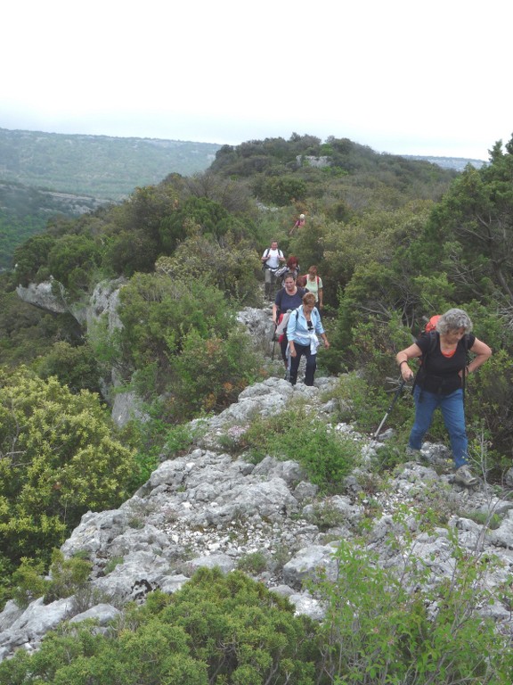 St Saturnin lès Apt-Baume des Roustan-Jeudi 13 mai 2010 Jvx1KC