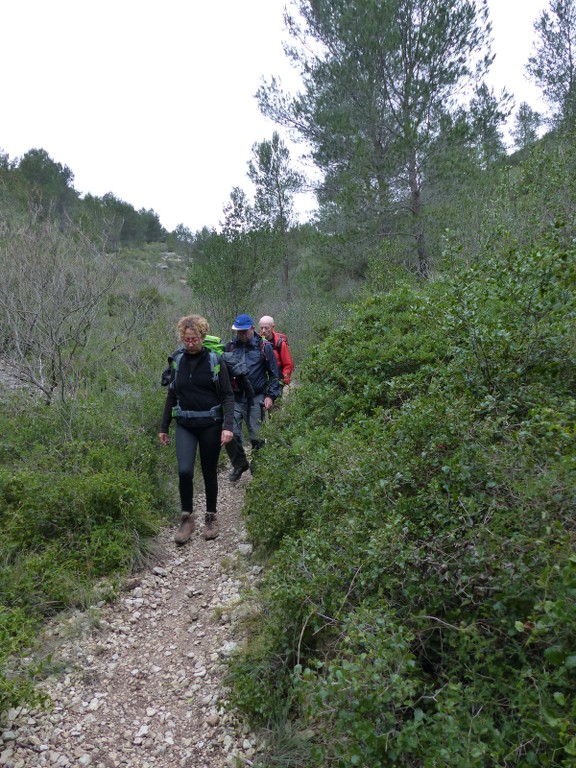 Ceyreste-Montounier-Jeudi 7 janvier 2016 Pv4on8