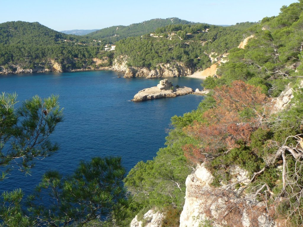 Madrague des Lecques-Port d'Alon-Jeudi 28 novembre 2013 SkqwPa