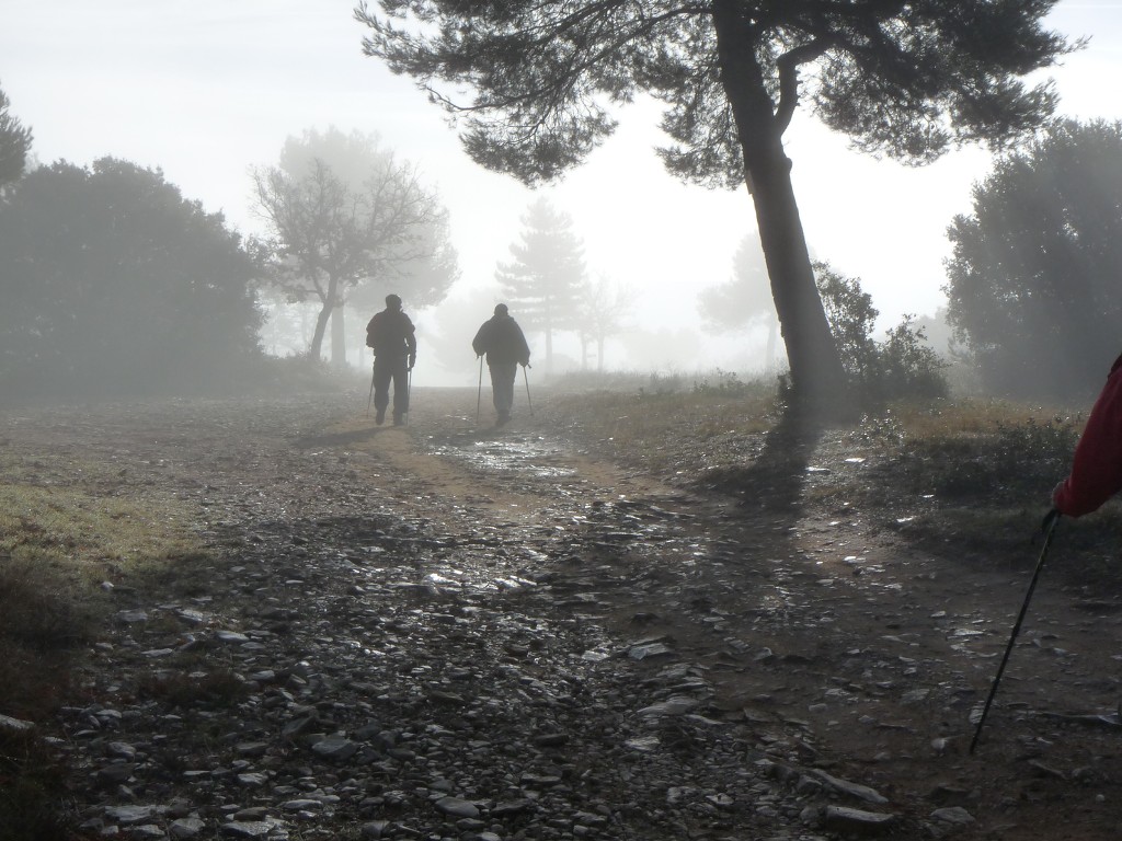 Meyrargues-Le Terme de Judas-Jeudi 9 janvier 2014 KDzzZD