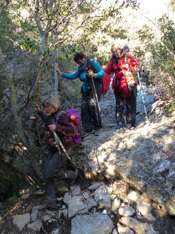 Lubéron-Vallon de l'Arc et Arche du Portalas-Jeudi 26 novembre 2015 LJhrwJ