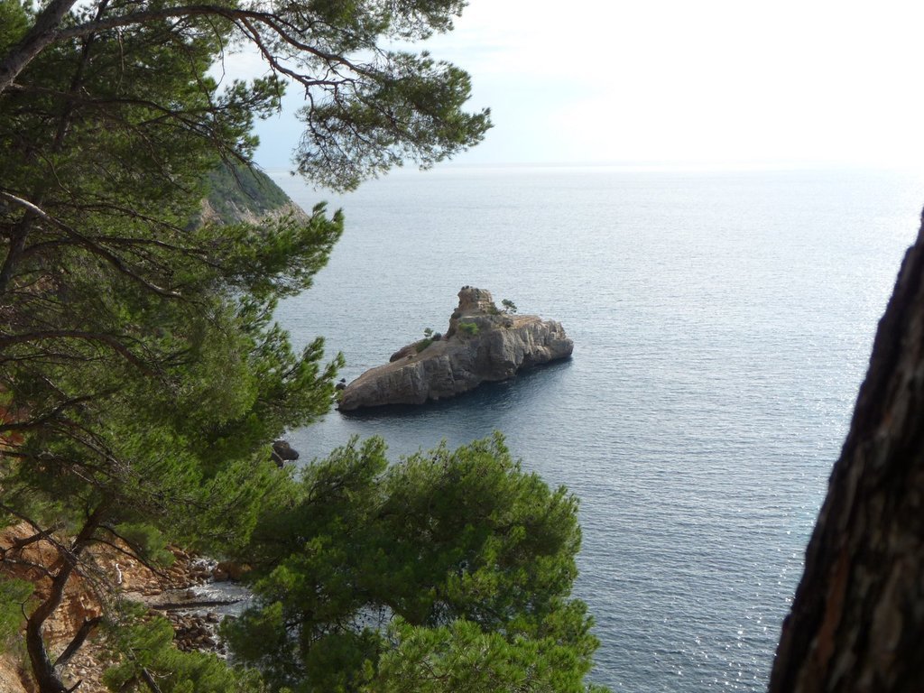 Madrague des Lecques-Port d'Alon-Jeudi 28 novembre 2013 PvkoUm