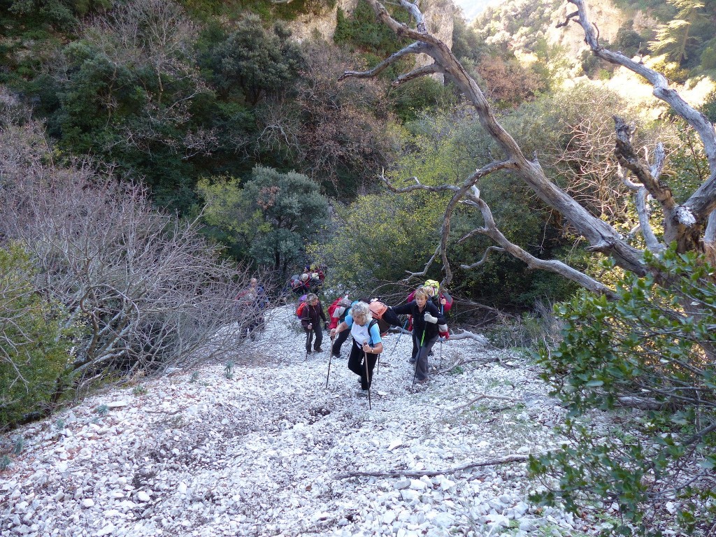 Lubéron-Vallon de l'Arc et Arche du Portalas-Jeudi 26 novembre 2015 3v8QBS