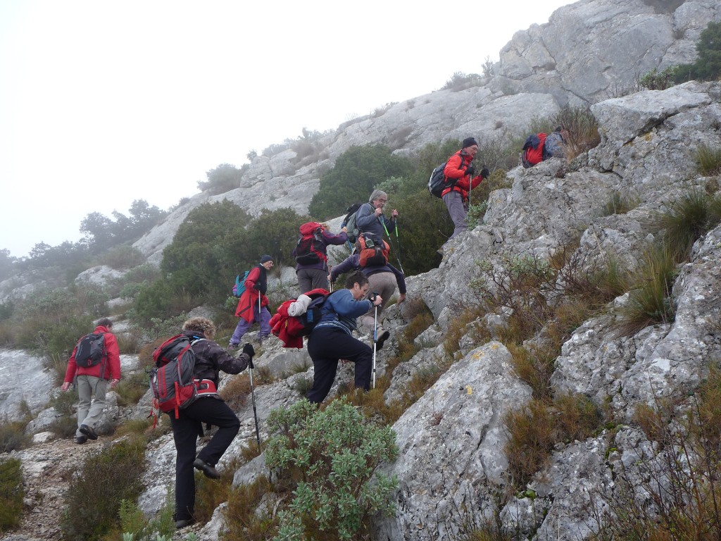 Meyrargues-Le Terme de Judas-Jeudi 9 janvier 2014 Cb3kSr