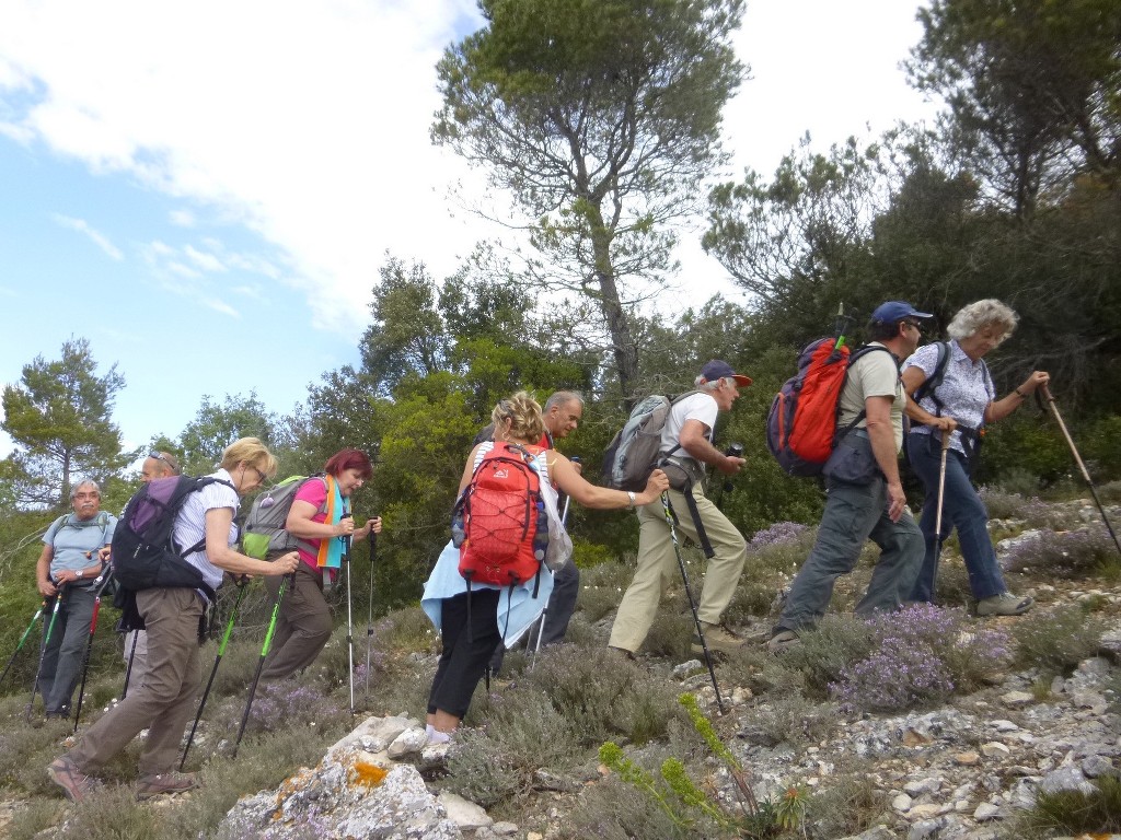 Rians-Montagne d'Artigues-Jeudi 23 avril 2015 G7c82x