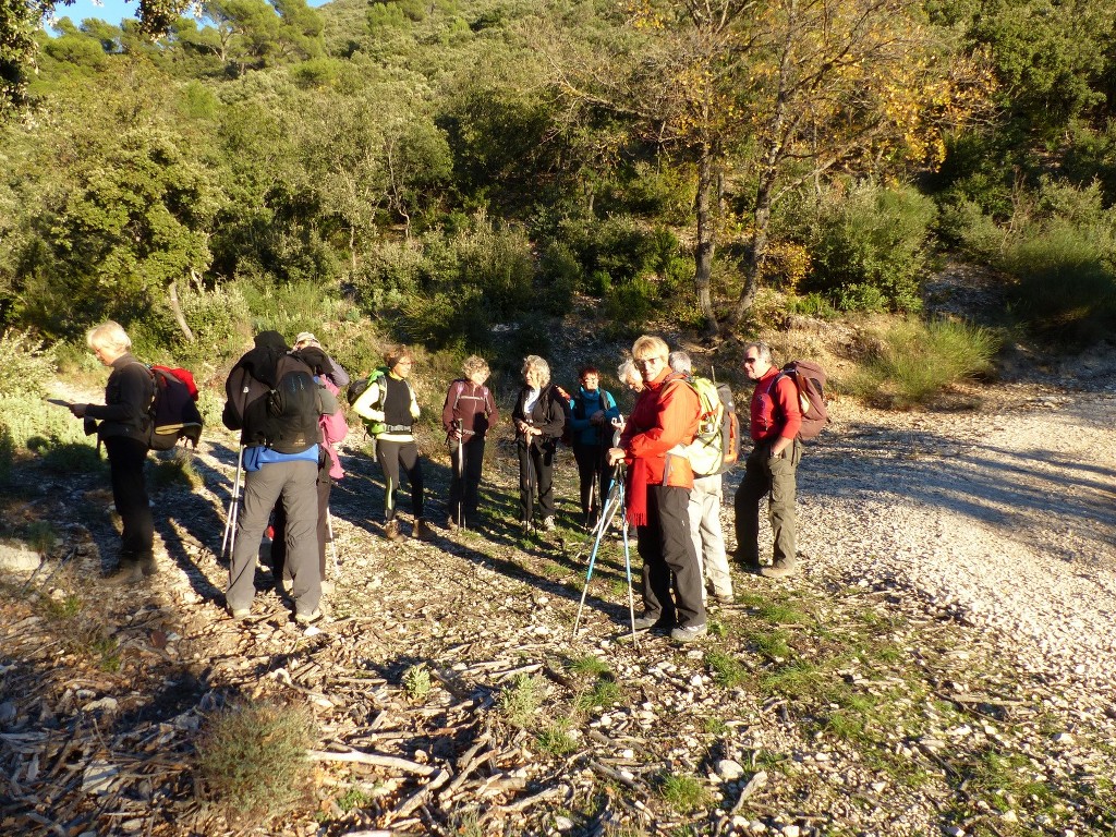 Lubéron-Vallon de l'Arc et Arche du Portalas-Jeudi 26 novembre 2015 JmhNg4