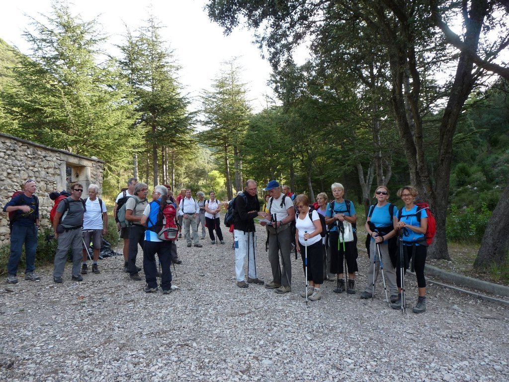 Vallon de l'Arc-Forêt des Cèdres-Arche du Portalas-Jeudi 10 octobre 2013 TiLyu9