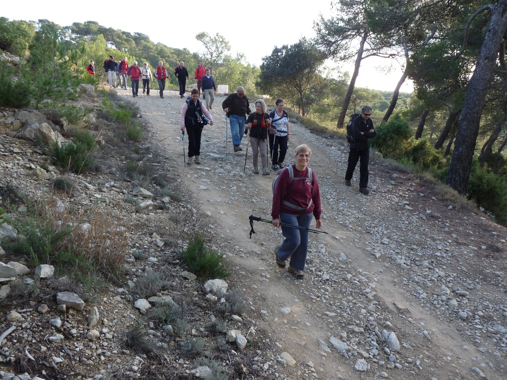 Meyrargues-Le Terme de Judas-Jeudi 9 janvier 2014 B4oXGP