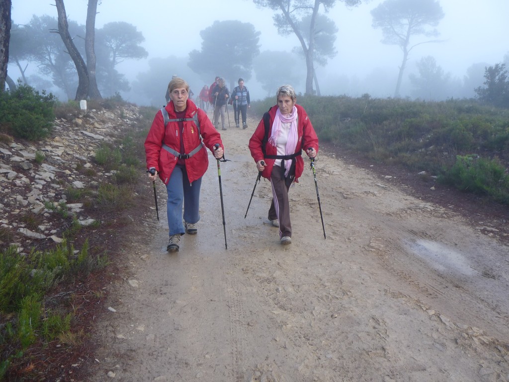 Meyrargues-Le Terme de Judas-Jeudi 9 janvier 2014 VMe16J