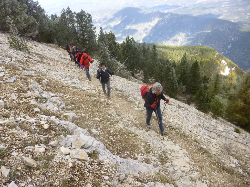 Ventoux-Balcon Nord-Jeudi 15 octobre 2015 1WPDbf