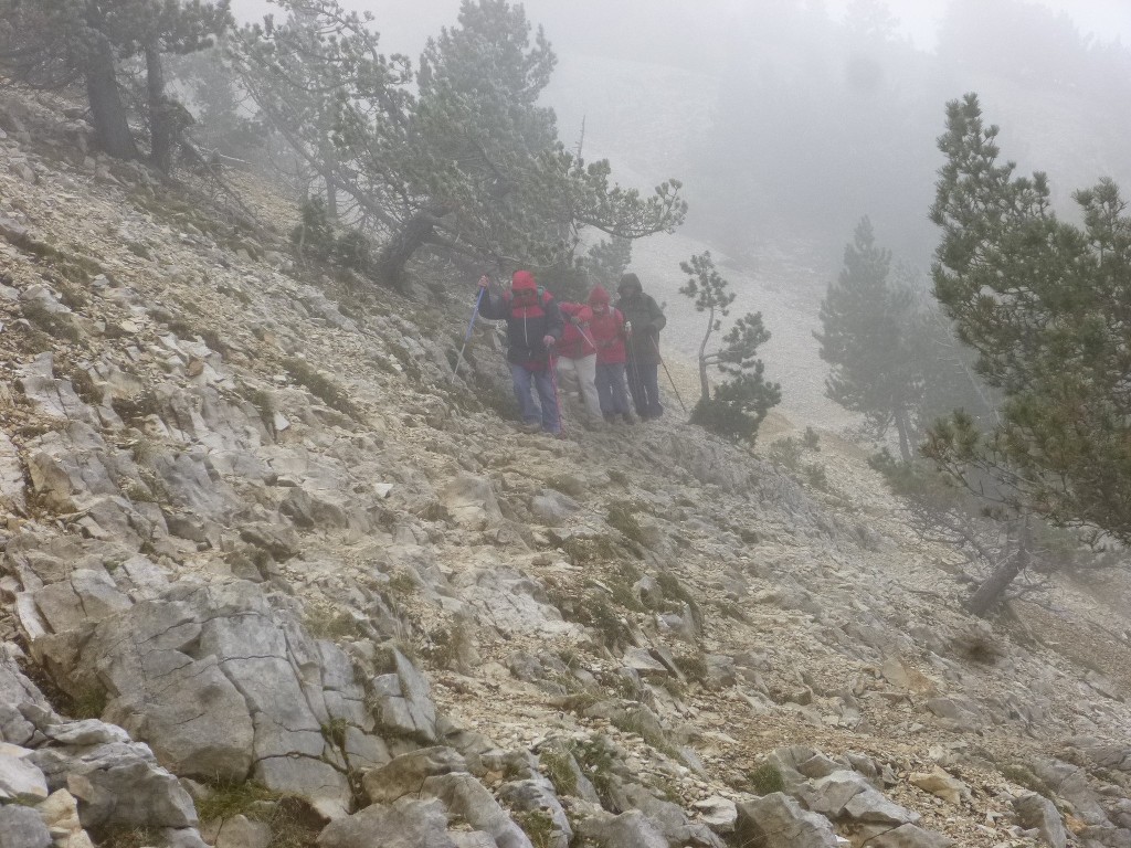 Ventoux-Balcon Nord-Jeudi 15 octobre 2015 V6IZ1t